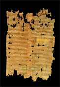 Des papyrus portant des inscriptions disposées en colonnes
