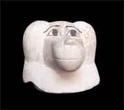 Canopic jar lid bearing the features of Hapi