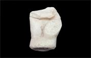 Fragment d’une main de statue