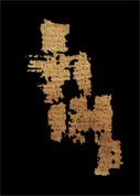 Five fragments of  magic papyrus
