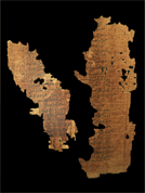Two fragments of a papyrus bearing verses from the Iliad (II 449-519, 528-555)