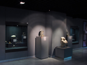 Ancient Egyptian Antiquities Hall