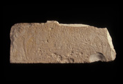 Tablette représentant Amenhotep Ier avec la reine Ahmose-Nefertari et Amon avec son épouse Mout