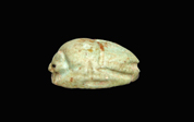 Scarabée gravé au nom de Thoutmosis III