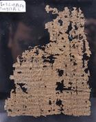 Fragment d’un papyrus traitant de l’Histoire d’Hérodote VII (P.oxy 1375) 