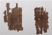 Two papyrus fragments bearing a novel (P.S.I. 981) 
