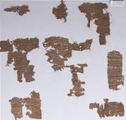 Quatorze fragments du texte de l’Iliade (I 273-362)