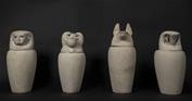 Canopic jar with a falcon-headed lid 