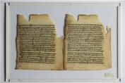 Akhmim Fragment (New Testament Apocrypha: The Gospel of Peter and 1 Enoch chapters 1‒27), LTR: pages 29 and 31