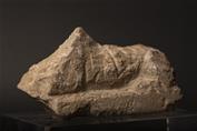 Fragment d'une statuette inachevée d’un sphinx