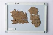Deux fragments de papyrus, le premier porte une prose de Thucydide I et le second une hymne de Callimaque (46-54, 79-84) /0570