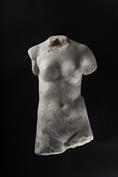 Torso of a female 